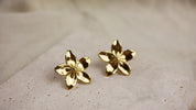 Boucles d'oreilles Francine