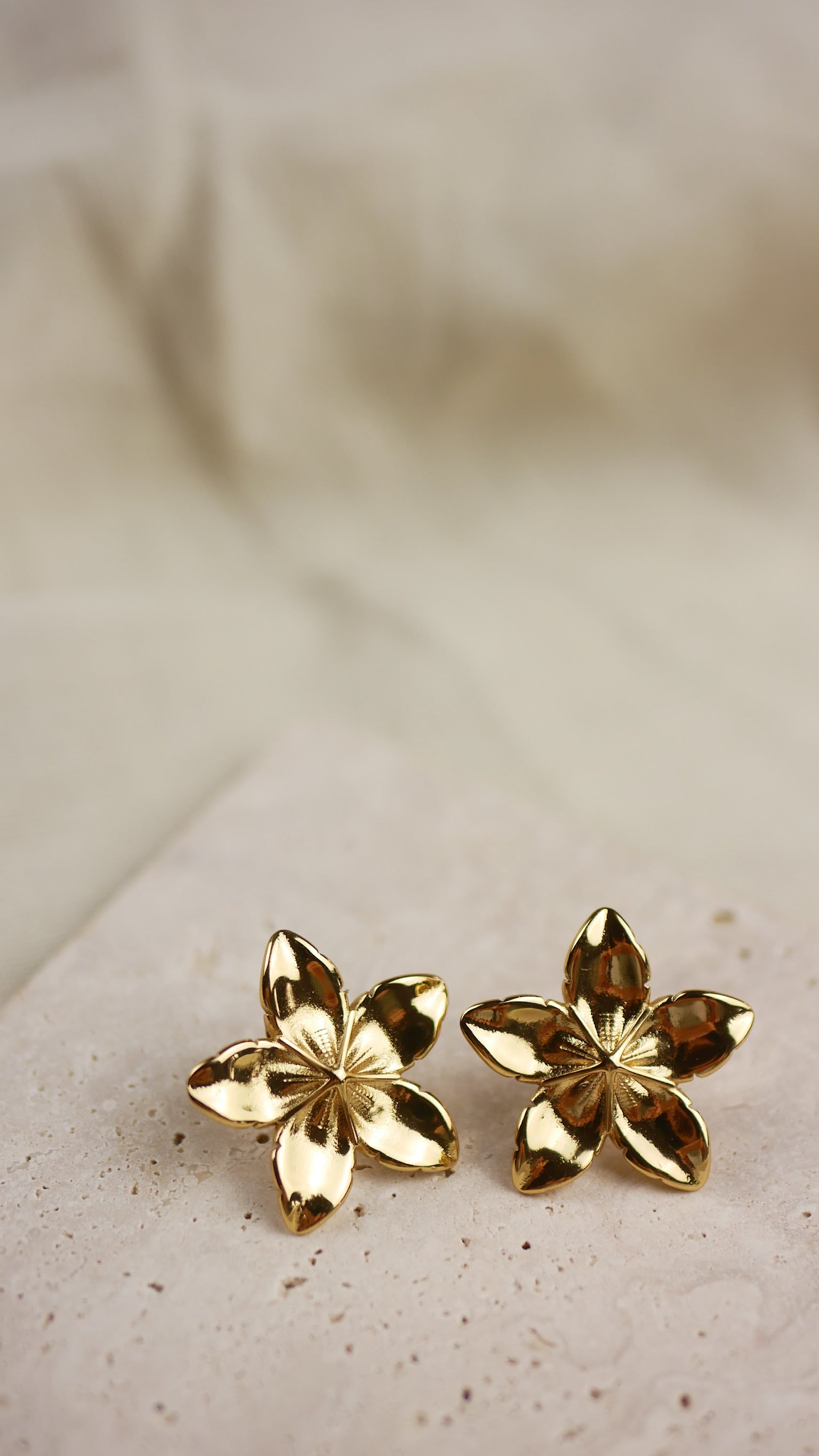 Boucles d'oreilles Francine