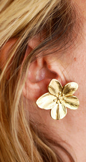 Boucles d'oreilles Holly